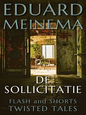 De sollicitatie - ebook